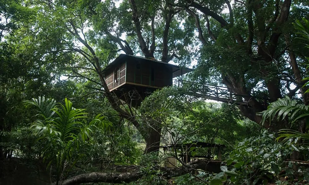 Hornbill River Resort Dandeli - Unique Tree Houses & Natural Jacuzzi